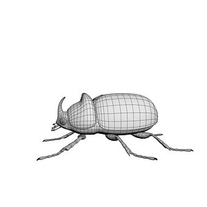 3D rhinoceros beetle model