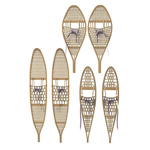3d snowshoes snow shoe model
