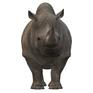 3D Rhino