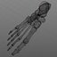 Foot Bone