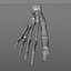 Foot Bone