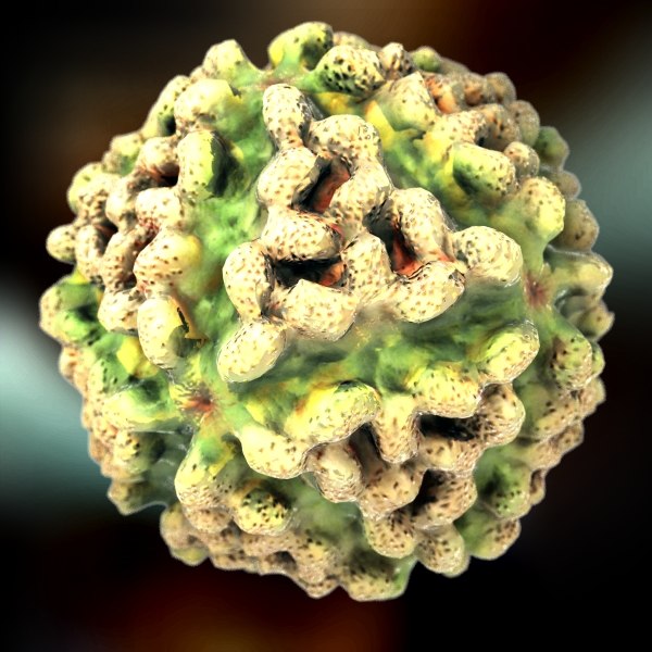 providence virus 3d model