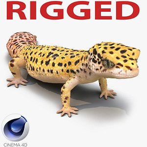 3d leopard gecko rigged model