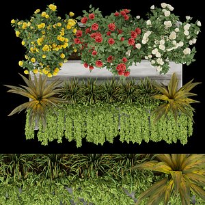 collection plant vol 10 3D model
