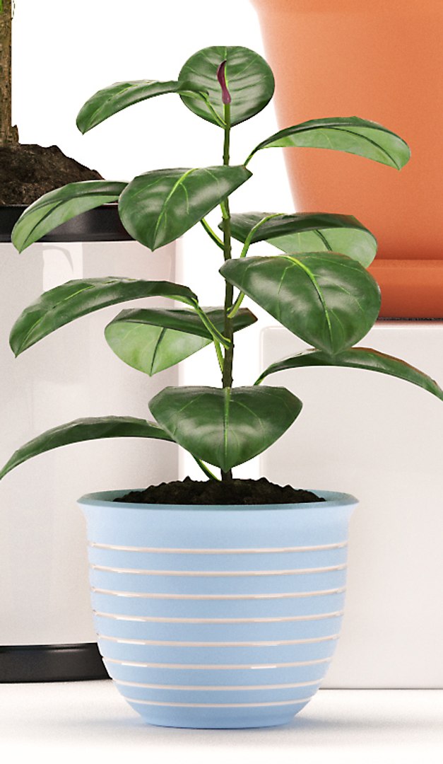 fbx rubber plants https://p.turbosquid.com/ts-thumb/0x/10cumR/FRb27gMA/p481/jpg/1464814964/1920x1080/fit_q87/4ff0de12f78e4763683803c7d96e8f33b85d5cff/p481.jpg