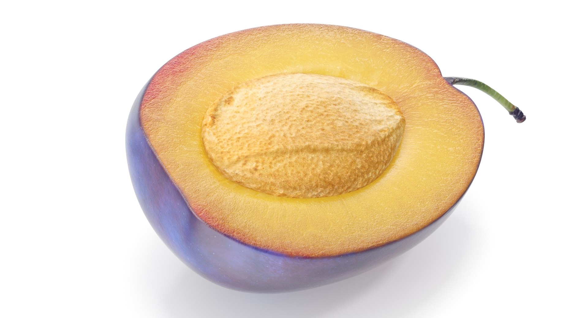 3d plum https://p.turbosquid.com/ts-thumb/0x/1E87Ok/FjsLHidV/plum_7/jpg/1478014960/1920x1080/fit_q87/fefd6a39db9cc98c1daabcafa55aa4d35a30ca3a/plum_7.jpg