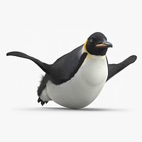 Belly Gliding Emperor Penguin Fur