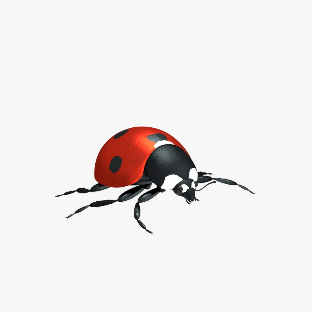 ladybug 3D model https://p.turbosquid.com/ts-thumb/0x/4fW8ZA/4KmEOcDT/0015/png/1512509866/1920x1080/fit_q87/0c74c9e2dbfb28afc3fe96d7272294cc3cbf313b/0015.jpg