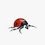 Ladybug