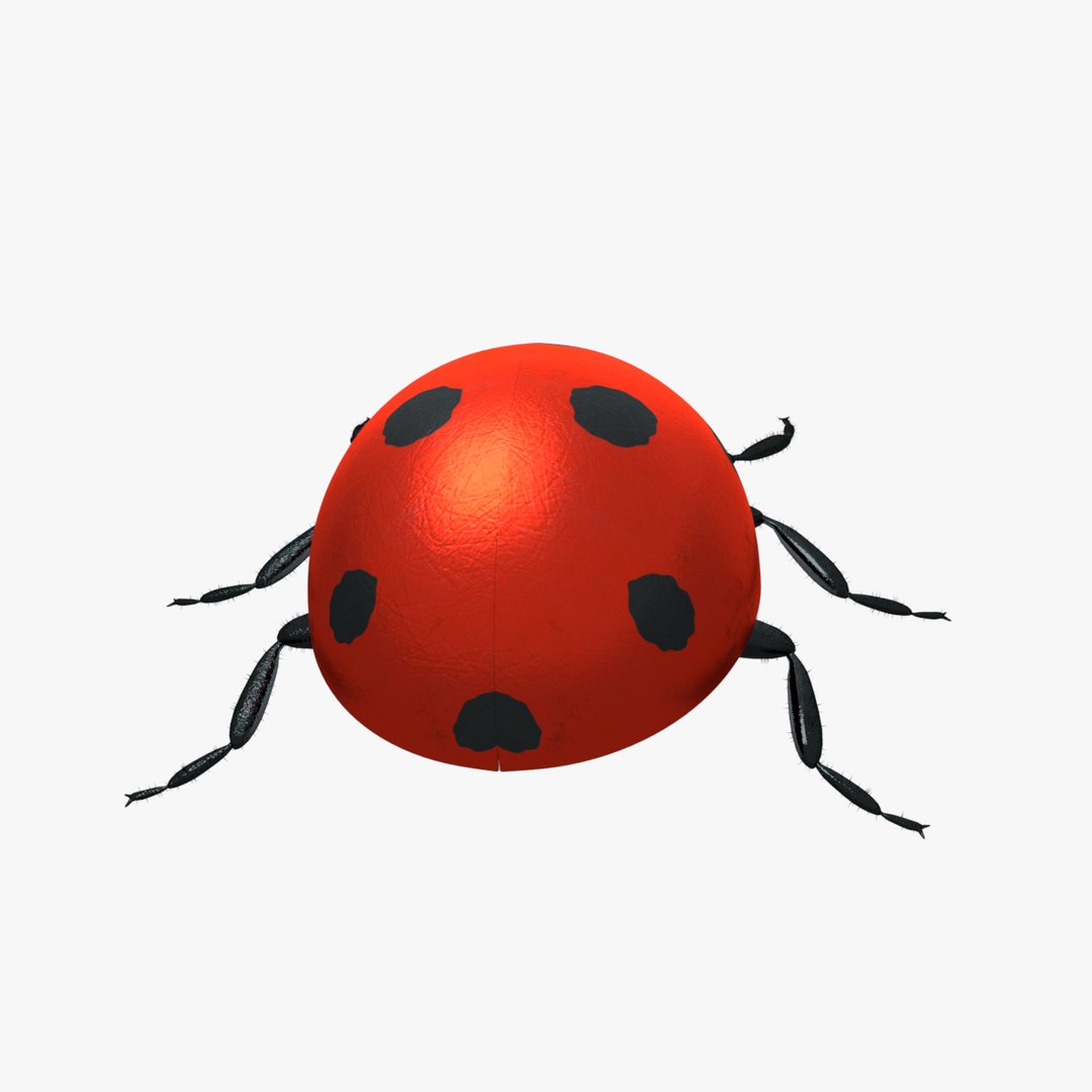 Ladybug 3d Model Turbosquid 1224528