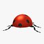Ladybug