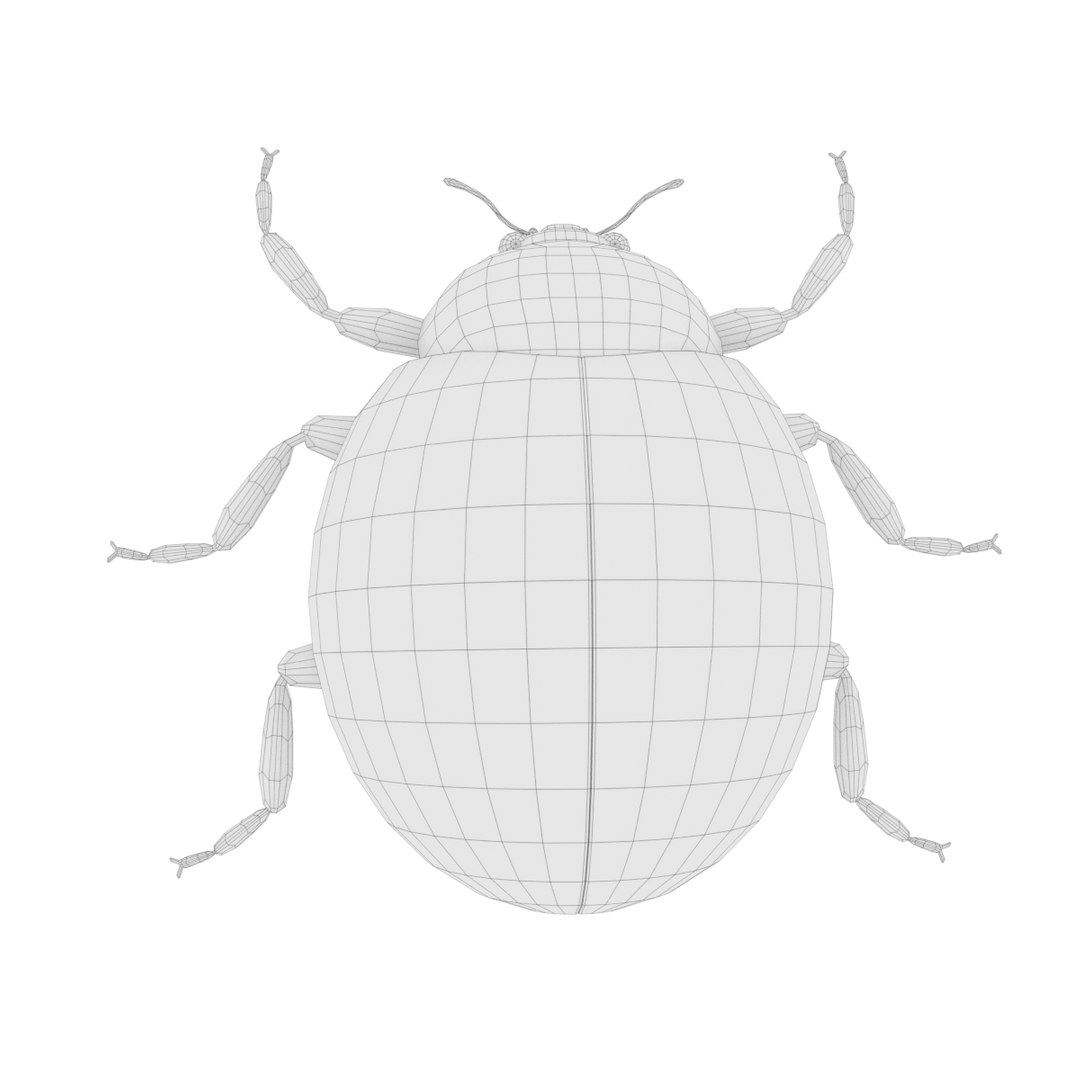 ladybug 3D model https://p.turbosquid.com/ts-thumb/0x/4fW8ZA/HFDGznQS/0001/png/1512509930/1920x1080/fit_q87/0268c4ac9e96683d2f8cc65869b0b3a39d22be3e/0001.jpg