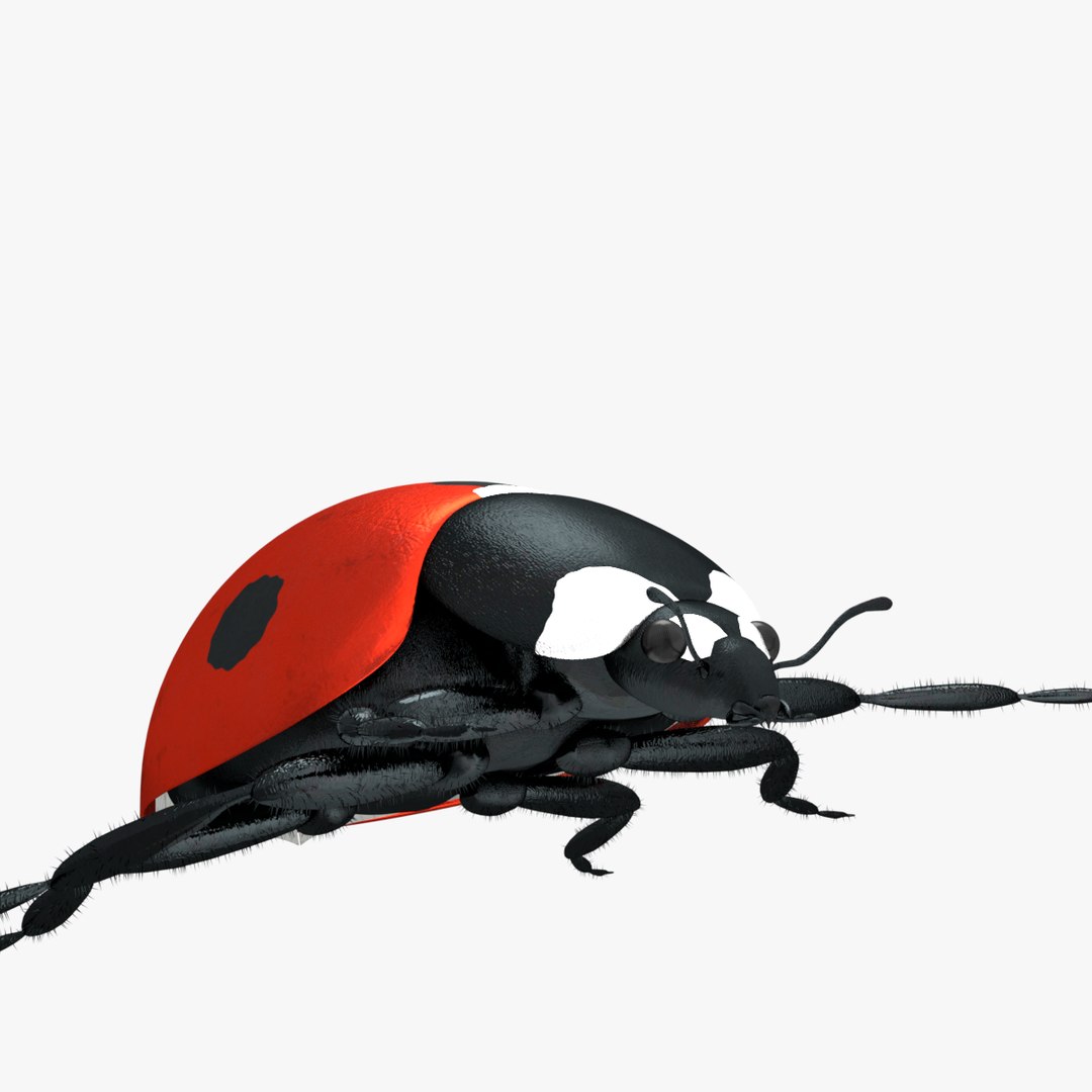 ladybug 3D model https://p.turbosquid.com/ts-thumb/0x/4fW8ZA/Ki74xDEQ/0014/png/1512509866/1920x1080/fit_q87/07aa896d7f20cf940e9723d672a2f4d357c440bd/0014.jpg
