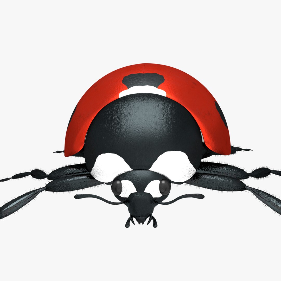 ladybug 3D model https://p.turbosquid.com/ts-thumb/0x/4fW8ZA/PMwohI5W/0004/png/1512509814/1920x1080/fit_q87/5930ce16f3921e741435016a2fc68a1c8f58e257/0004.jpg