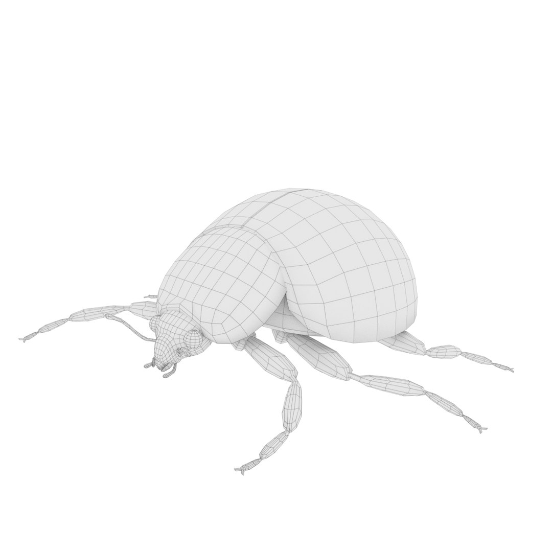 ladybug 3D model https://p.turbosquid.com/ts-thumb/0x/4fW8ZA/TJOVHNPp/0002/png/1512509930/1920x1080/fit_q87/c2772e93ba8737b01b672112a33639556f113747/0002.jpg