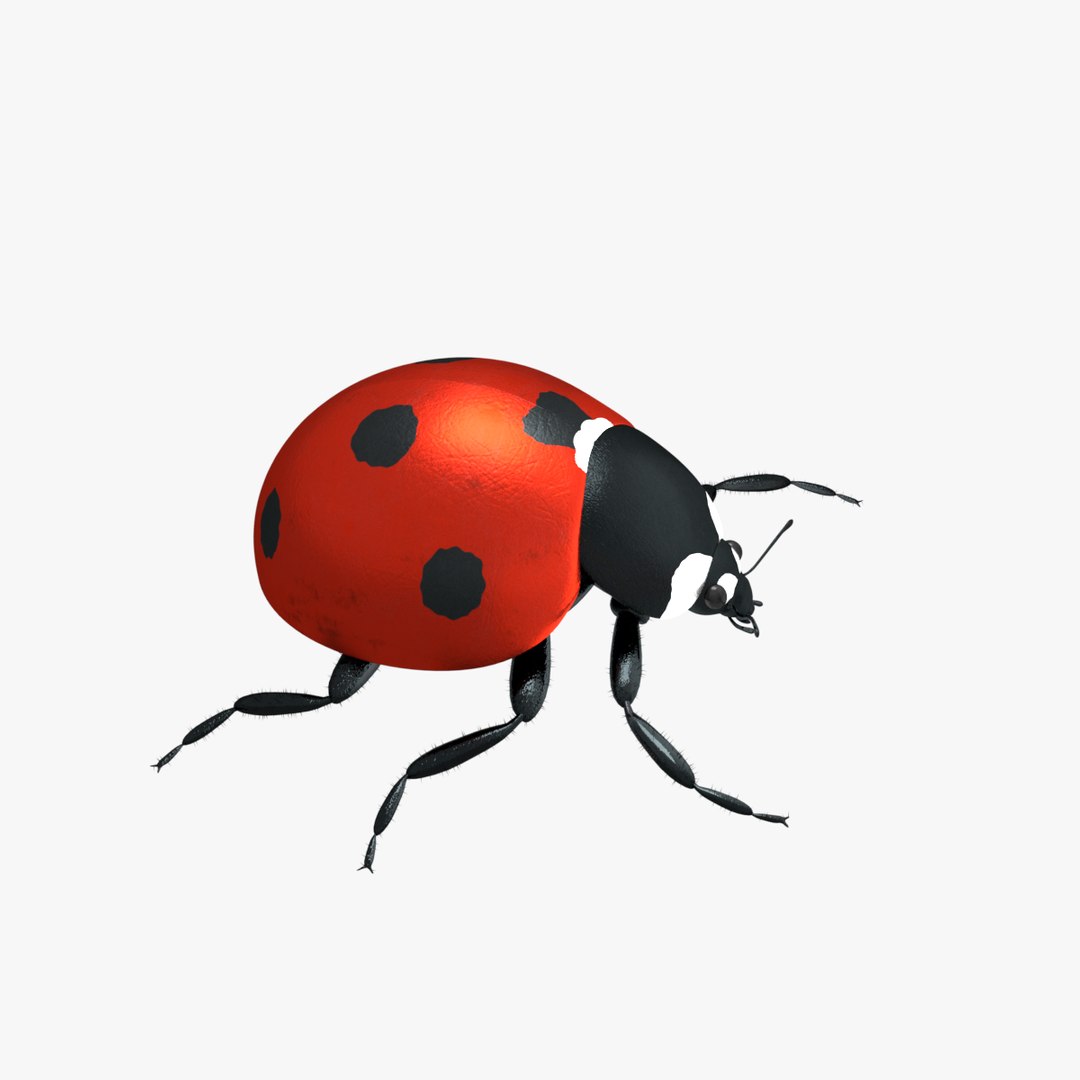 ladybug 3D model https://p.turbosquid.com/ts-thumb/0x/4fW8ZA/XSImytPZ/0016/png/1512509866/1920x1080/fit_q87/272e0b02068bca74dc17ec658157366844321854/0016.jpg
