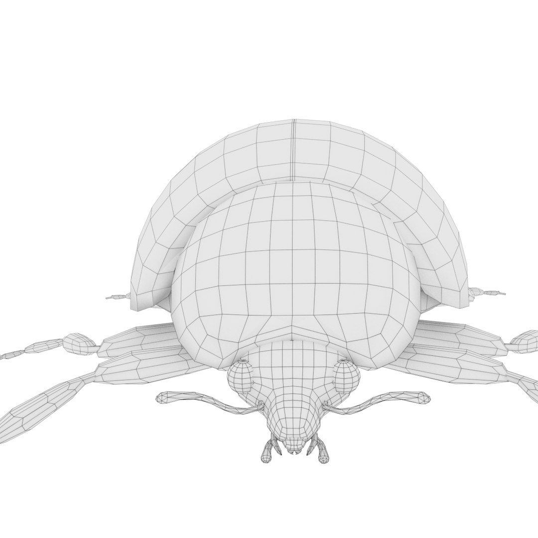 ladybug 3D model https://p.turbosquid.com/ts-thumb/0x/4fW8ZA/aTbGkO5Z/0004/png/1512509930/1920x1080/fit_q87/9c60019292a9640c7302c047d24540b8629f2def/0004.jpg