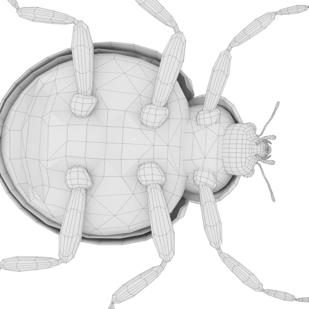ladybug 3D model https://p.turbosquid.com/ts-thumb/0x/4fW8ZA/gEkyHtTU/0013/png/1512509930/1920x1080/fit_q87/7e163d47afbae00763dcfebcd502c4e9c1c791be/0013.jpg