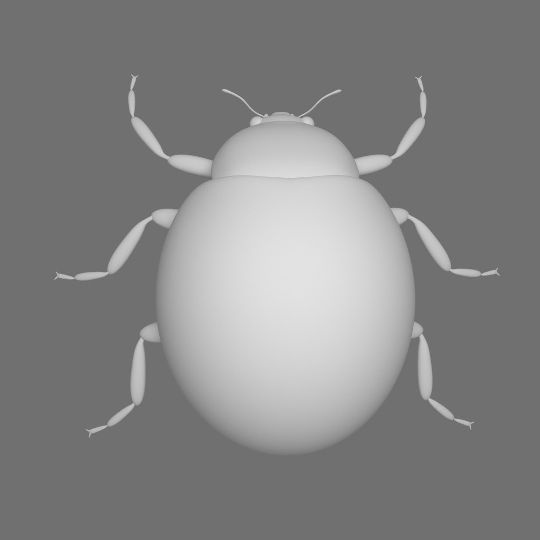 ladybug 3D model https://p.turbosquid.com/ts-thumb/0x/4fW8ZA/ix3erP9A/0001/png/1512510012/1920x1080/fit_q87/c3178f39df23b68e660da63d7e2ad995983ab088/0001.jpg