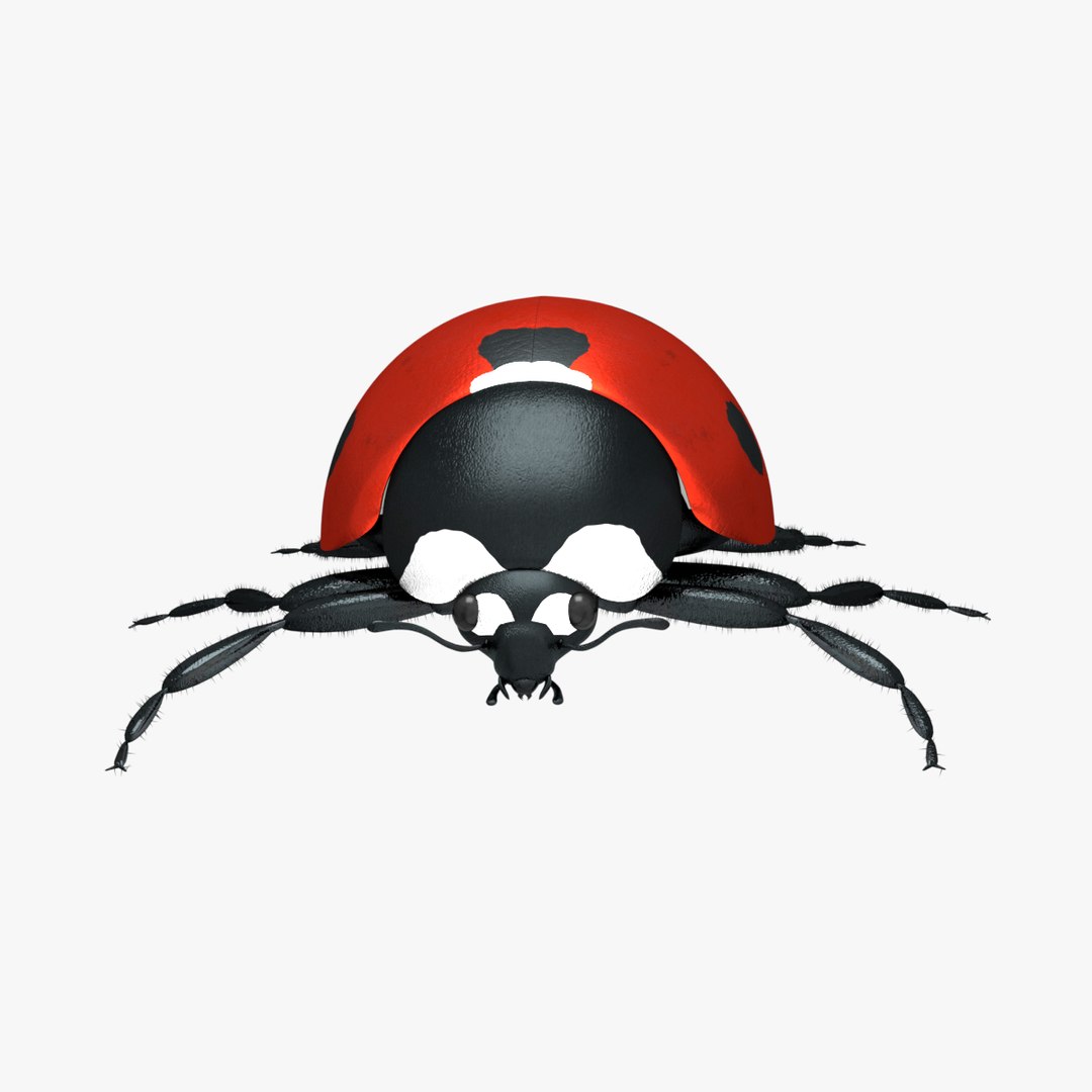 ladybug 3D model https://p.turbosquid.com/ts-thumb/0x/4fW8ZA/tajD9uUT/0003/png/1512509814/1920x1080/fit_q87/ff1ac218dd261c5c7a766af8a97ebc66deea7ea7/0003.jpg