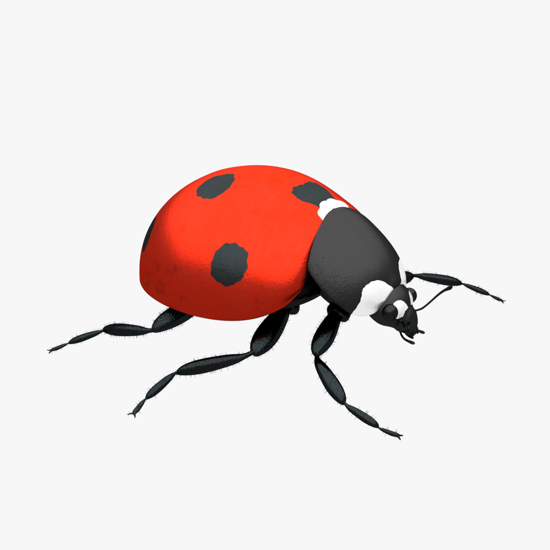 ladybug 3D model https://p.turbosquid.com/ts-thumb/0x/4fW8ZA/vdlBc1sK/ladybug.png/png/1512509754/1920x1080/turn_fit_q99/22b52386a2195d450600eca077b02fbec17b8368/ladybug.png-1.jpg