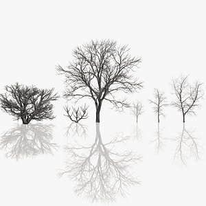 3D trees vol