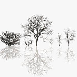 Dead Trees 2
