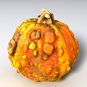pumpkin 3D model