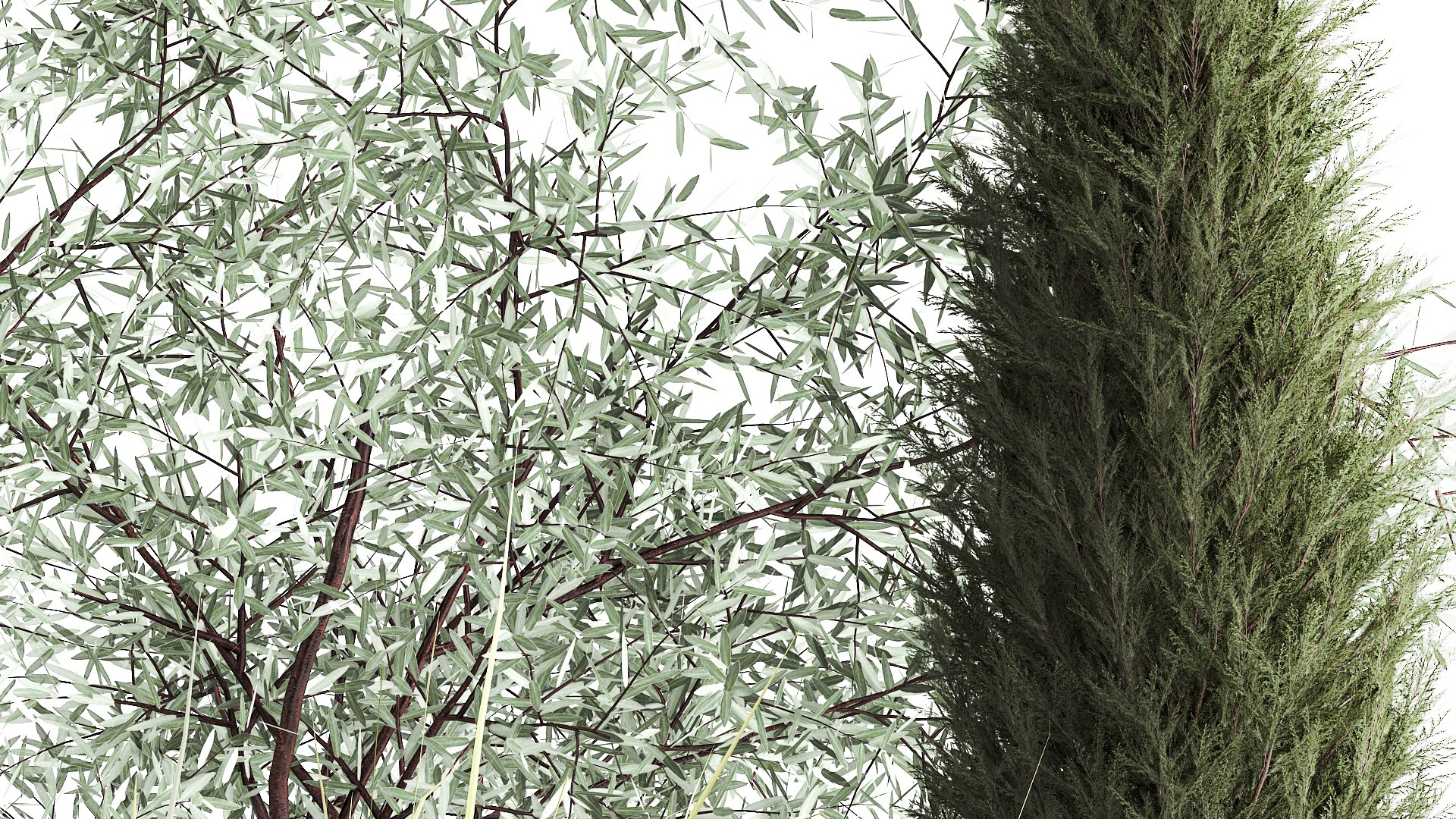 3D Trees And Bushes For The Garden Spruce Thuja 1188 https://p.turbosquid.com/ts-thumb/0x/XNfd35/C5/1plantset02022308/jpg/1675609703/1920x1080/fit_q87/e1856050d444d41c27a16df71ac08b873471ae26/1plantset02022308.jpg