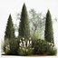 Trees And Bushes For The Garden Spruce Thuja 1188