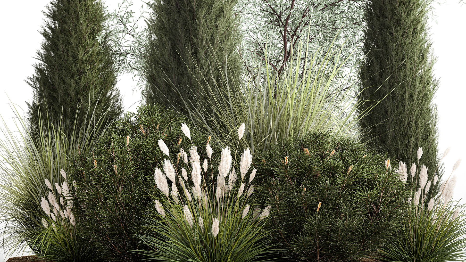 3D Trees And Bushes For The Garden Spruce Thuja 1188 https://p.turbosquid.com/ts-thumb/0x/XNfd35/SP/1plantset02022304/jpg/1675609698/1920x1080/fit_q87/f239ee6d1385eb30c9fde5224efc43c7e557268c/1plantset02022304.jpg