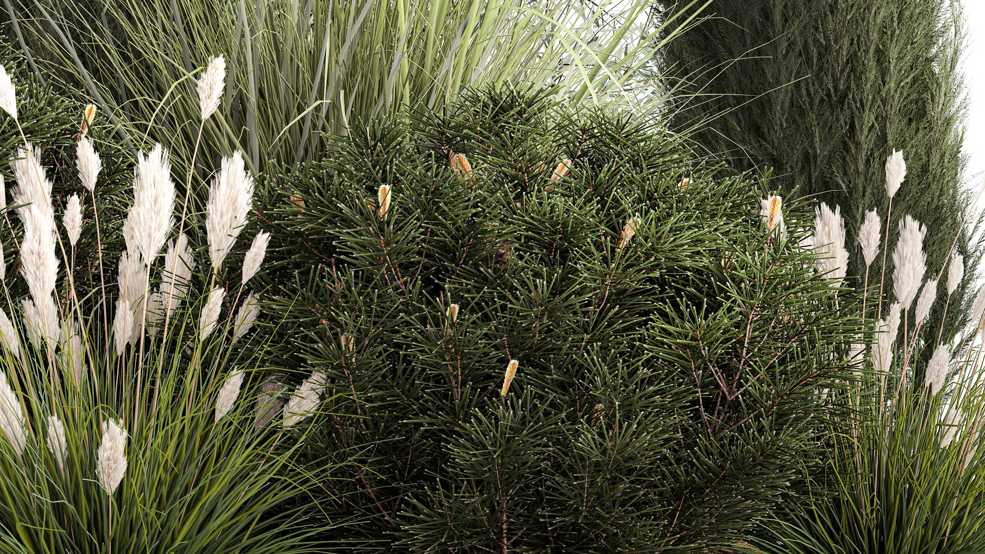 3D Trees And Bushes For The Garden Spruce Thuja 1188 https://p.turbosquid.com/ts-thumb/0x/XNfd35/YM/1plantset02022307/jpg/1675609704/1920x1080/fit_q87/ac665cca85f7622af851131a1822dc5a4d731cd5/1plantset02022307.jpg