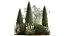 Trees And Bushes For The Garden Spruce Thuja 1188