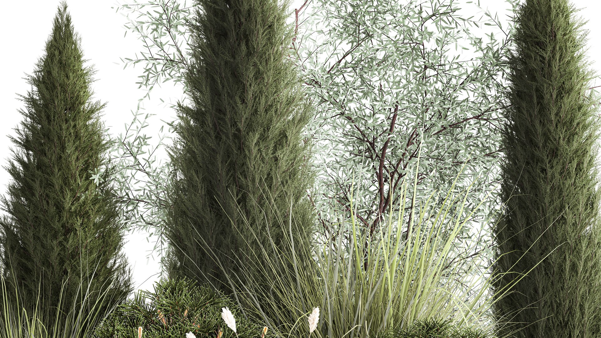 3D Trees And Bushes For The Garden Spruce Thuja 1188 https://p.turbosquid.com/ts-thumb/0x/XNfd35/nS/1plantset02022305/jpg/1675609700/1920x1080/fit_q87/55ddc244d4550002c262fd09bc6a3c0b9027d4e9/1plantset02022305.jpg