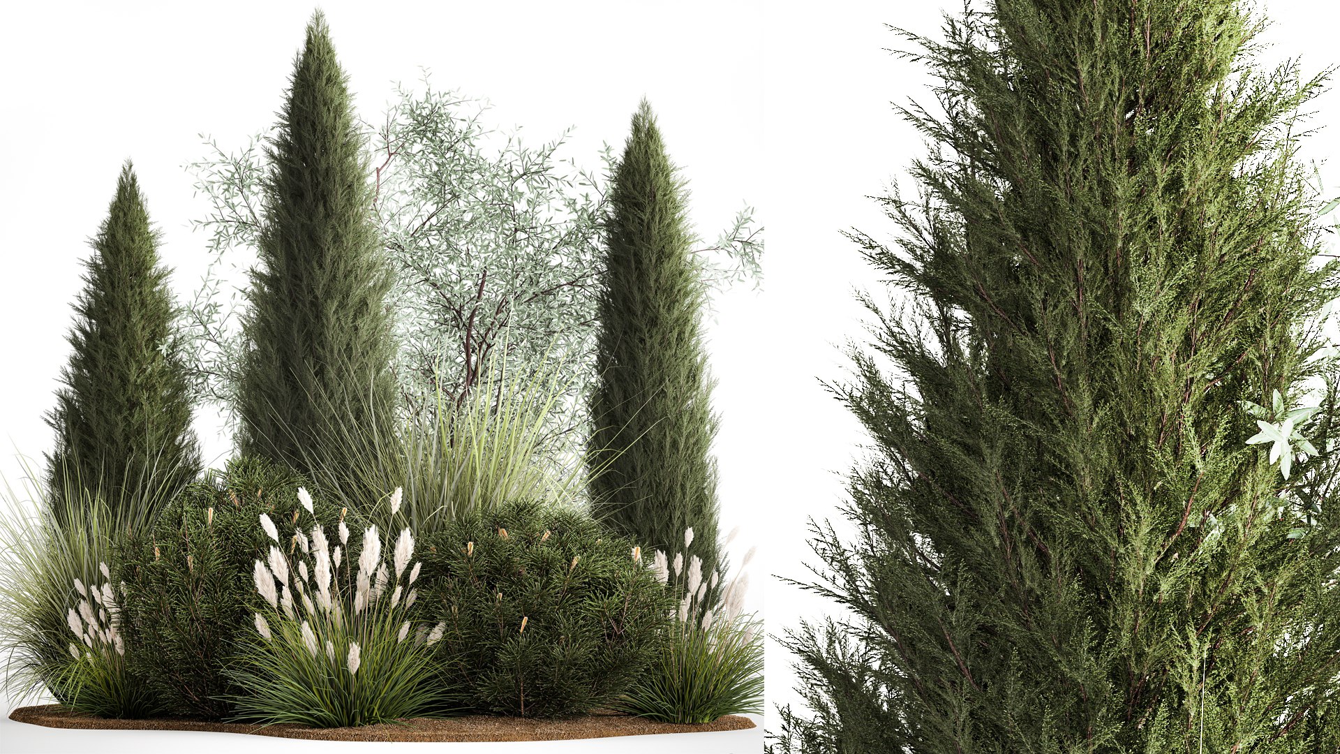 3D Trees And Bushes For The Garden Spruce Thuja 1188 https://p.turbosquid.com/ts-thumb/0x/XNfd35/on/1plantset02022302/jpg/1675609699/1920x1080/fit_q87/75885ab6a26f74b624d189c089658292a552a061/1plantset02022302.jpg