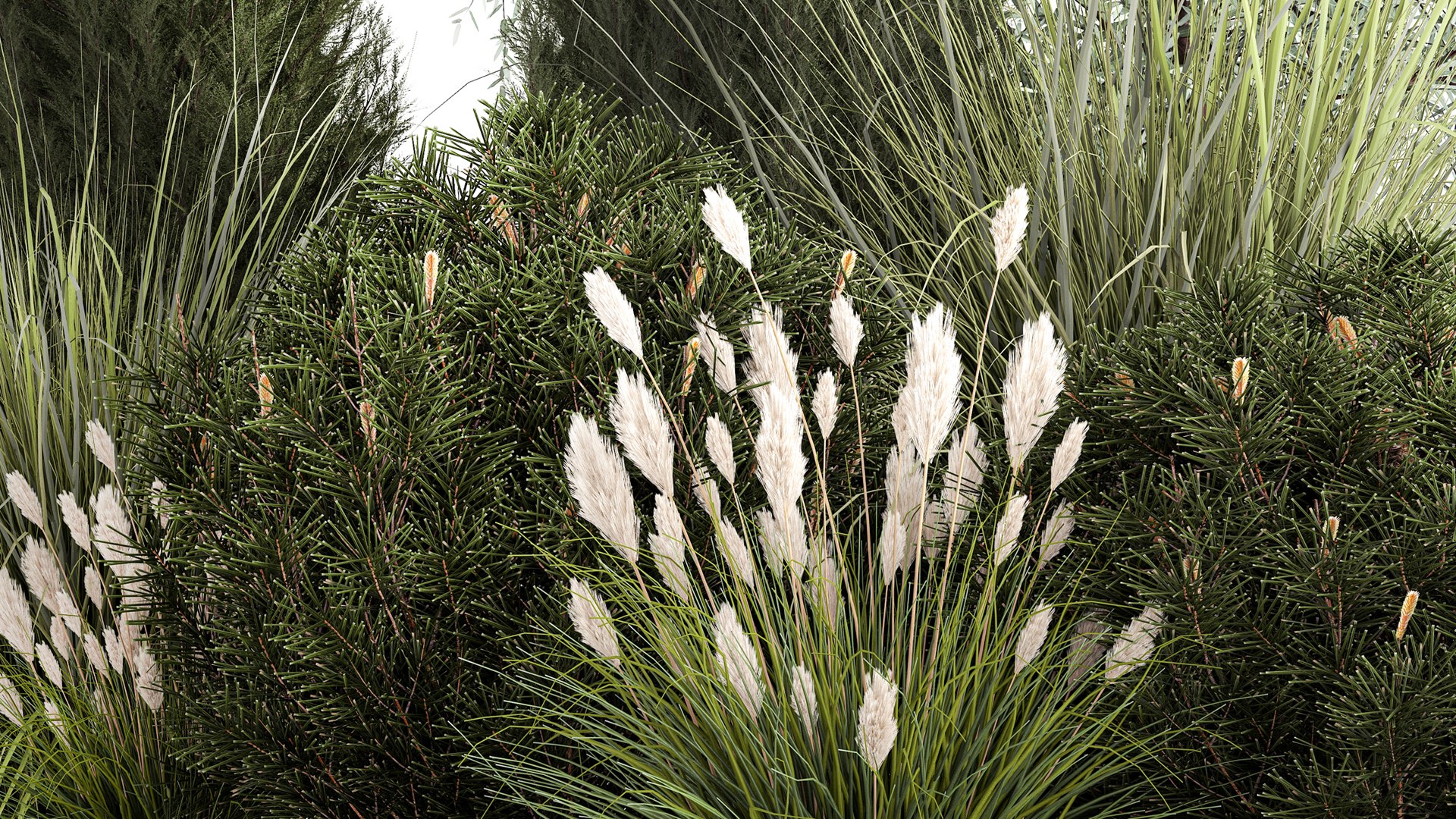 3D Trees And Bushes For The Garden Spruce Thuja 1188 https://p.turbosquid.com/ts-thumb/0x/XNfd35/x2/1plantset02022306/jpg/1675609701/1920x1080/fit_q87/8fc7648062dc393237c004c5762a879e5b3f45af/1plantset02022306.jpg