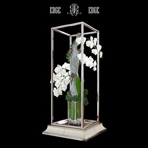 max decorative composition orchids succulents