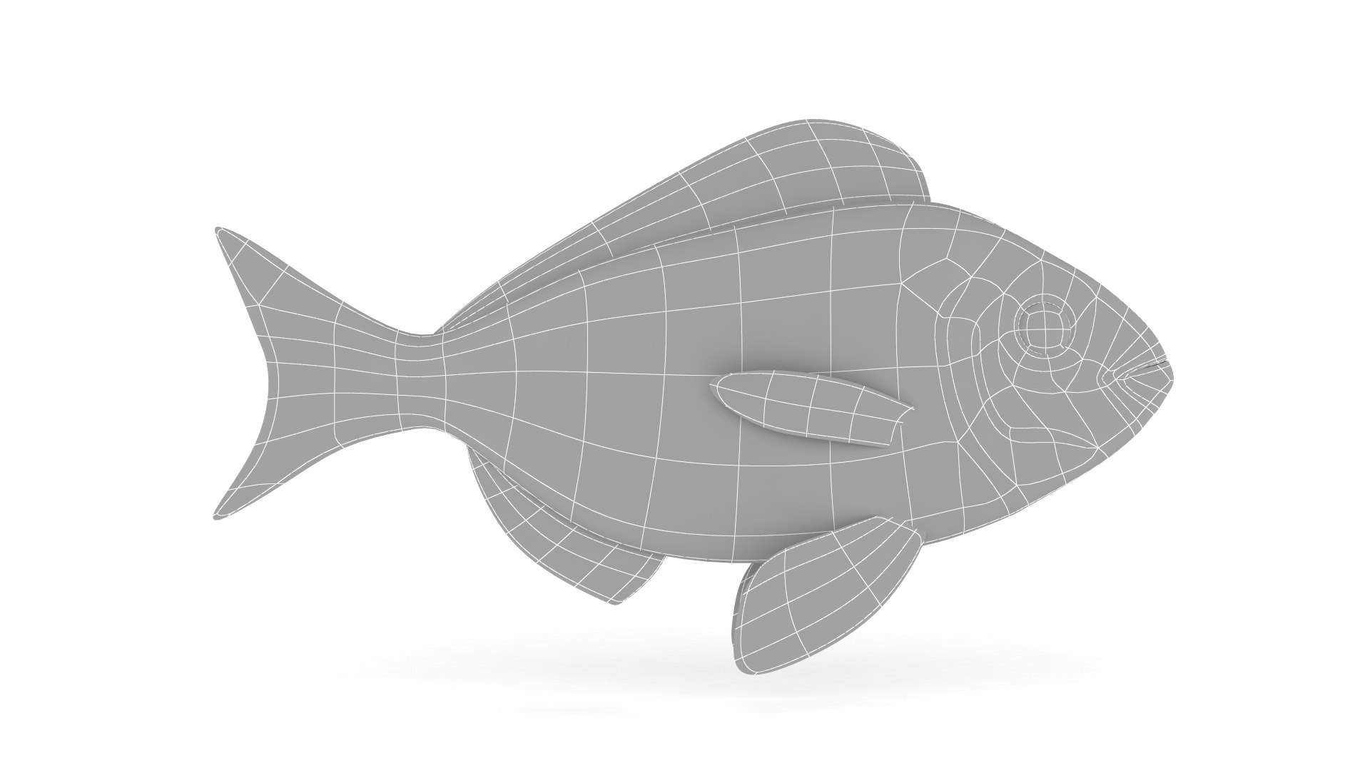 Pinfish 3D Model TurboSquid 1779667