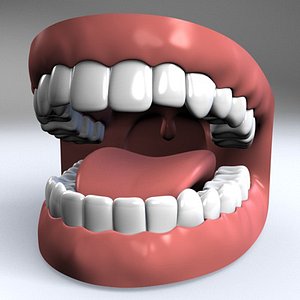 human mouth teeth gums 3ds