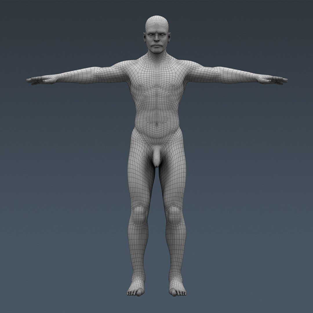 Rigged Human Male Body Ma
