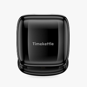 Timekettle WT2 Black Language Translator Device Earbuds model