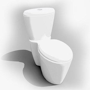 Contemporary Toilet