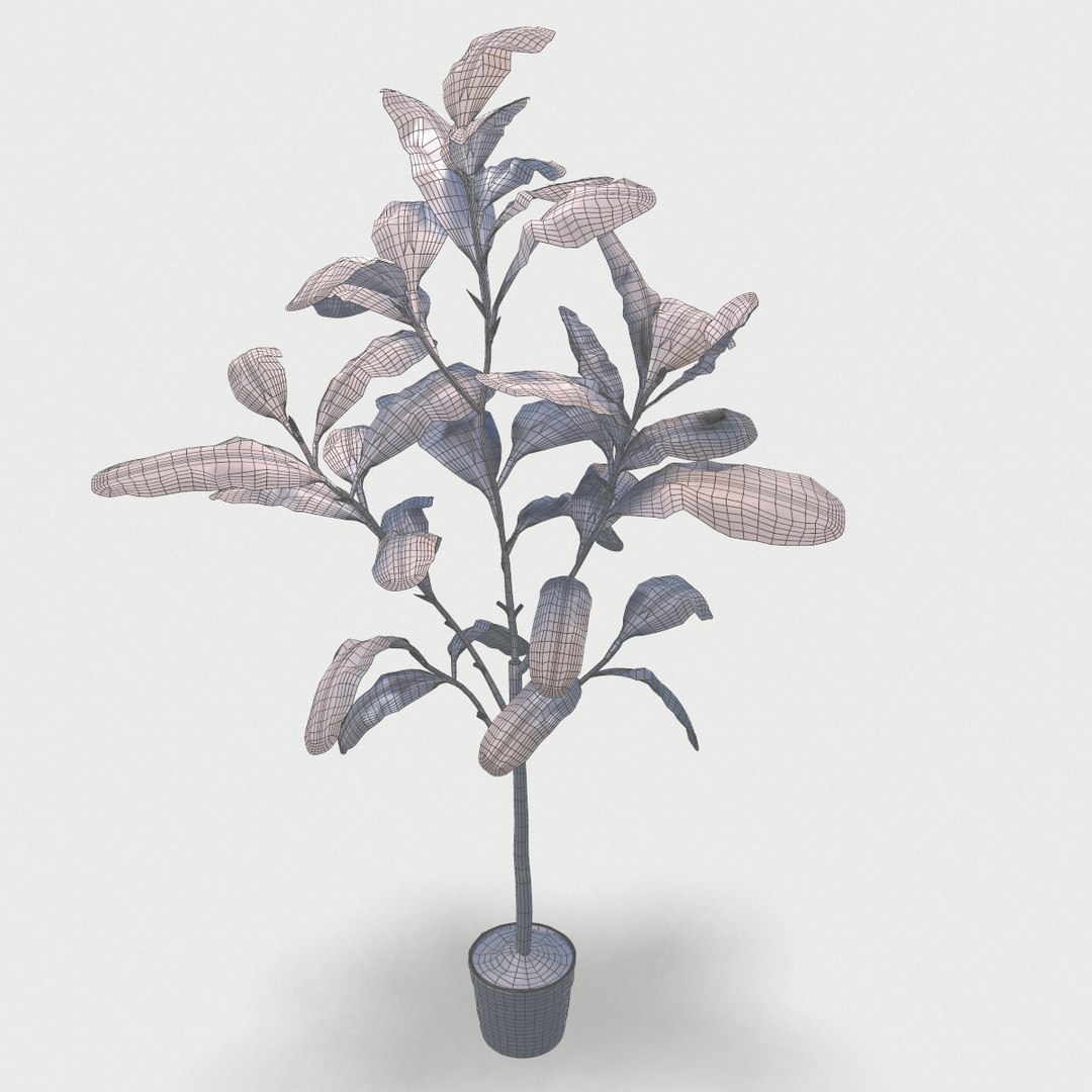 plant 3D https://p.turbosquid.com/ts-thumb/0y/218oWK/8SMp5oMJ/screenshot006/png/1589847813/1920x1080/fit_q87/46ec88c0225eabee939584ee0e336236a70cc302/screenshot006.jpg