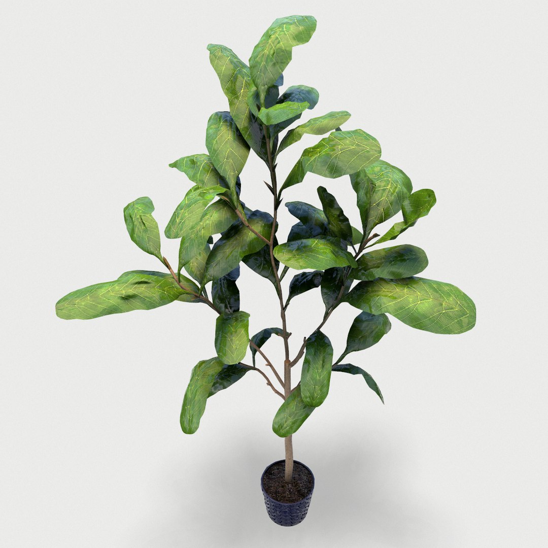 plant 3D https://p.turbosquid.com/ts-thumb/0y/218oWK/DagBjXAE/screenshot004/png/1589847812/1920x1080/fit_q87/b05cb34d62bb2ed3de202c8a1885af3452ceefda/screenshot004.jpg