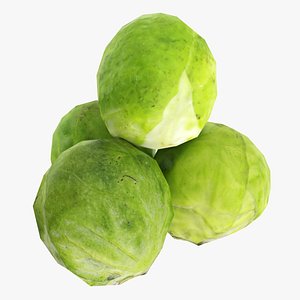 3D Brussels sprout