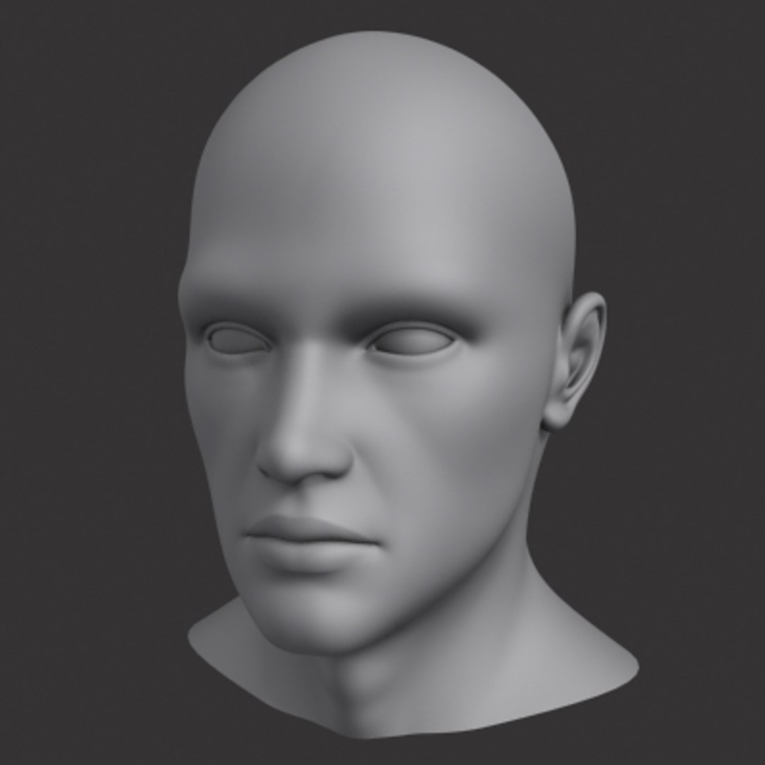 3d Male Head