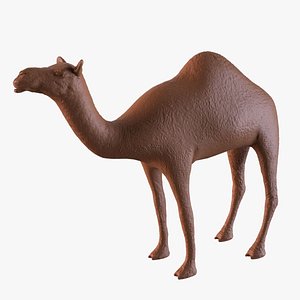 Camel printable 3D model