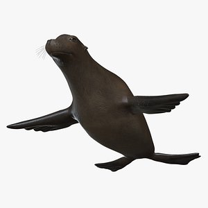 3D SIL-001 Rigged Seal