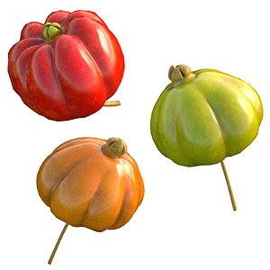 3D Surinam cherry pitanga fruit