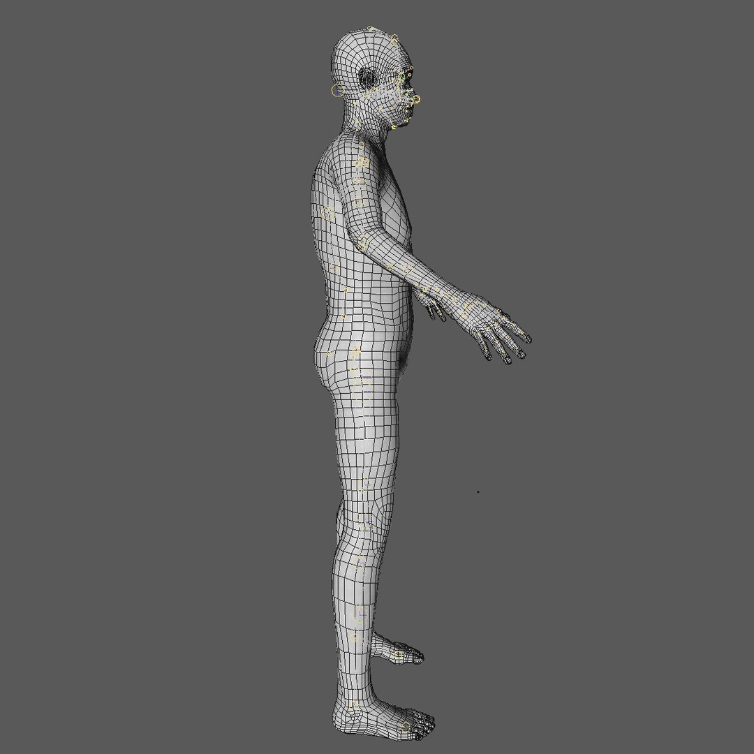 3d Realistic Base Mesh Old